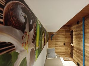 IMG_20230704_115100